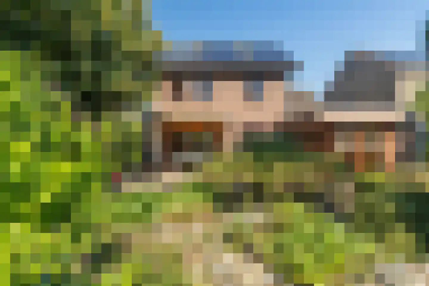 Meerser Koestraat 20 Stein thumbnail 57