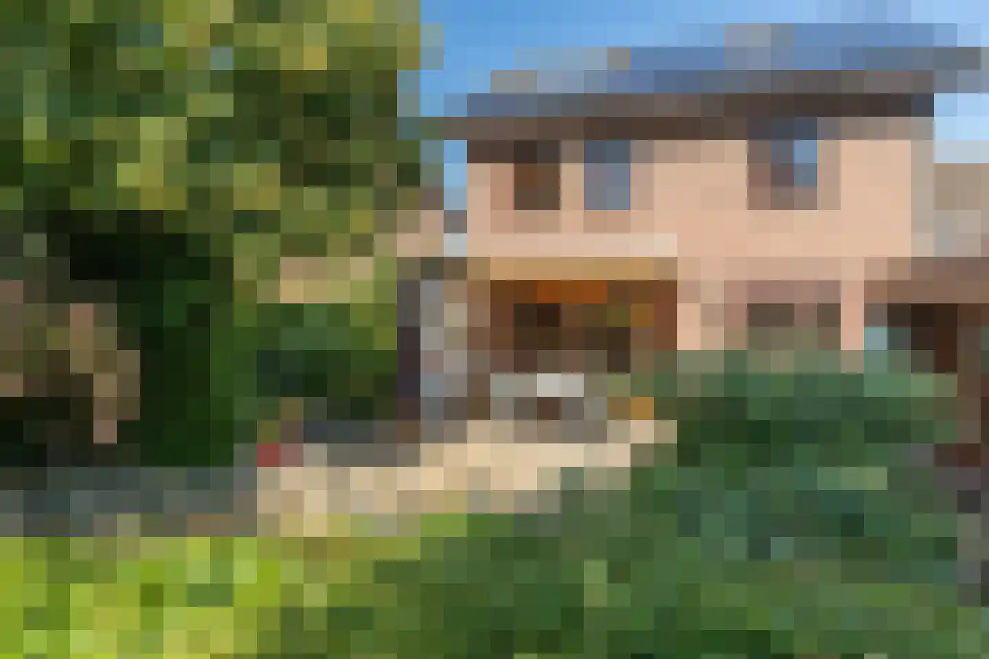 Meerser Koestraat 20 Stein thumbnail 58