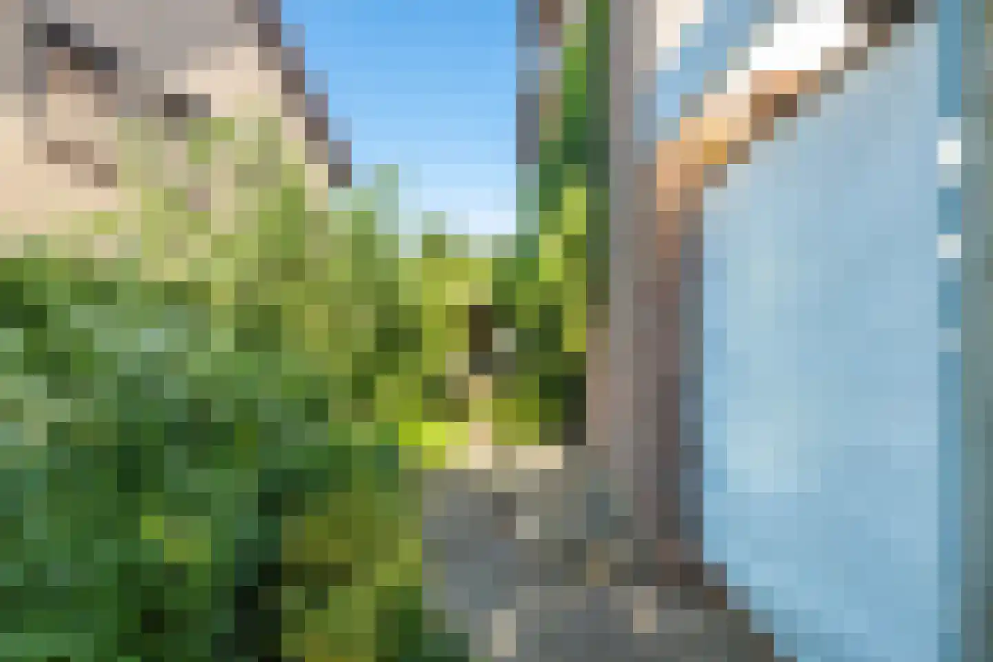 Meerser Koestraat 20 Stein thumbnail 59