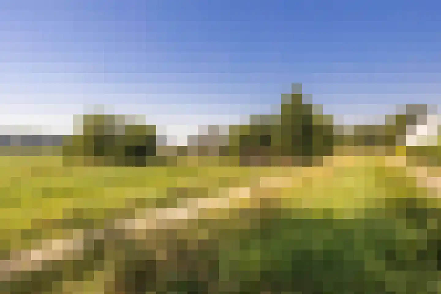 Meerser Koestraat 20 Stein thumbnail 60