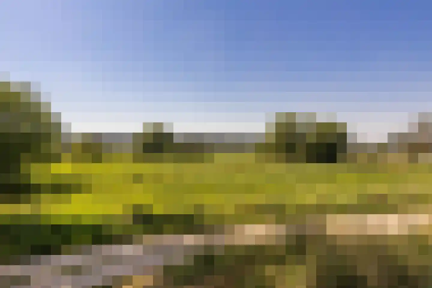 Meerser Koestraat 20 Stein thumbnail 61