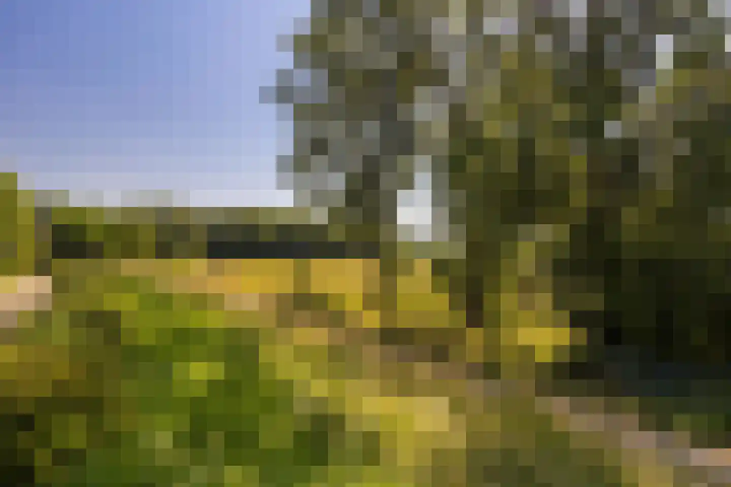 Meerser Koestraat 20 Stein thumbnail 62