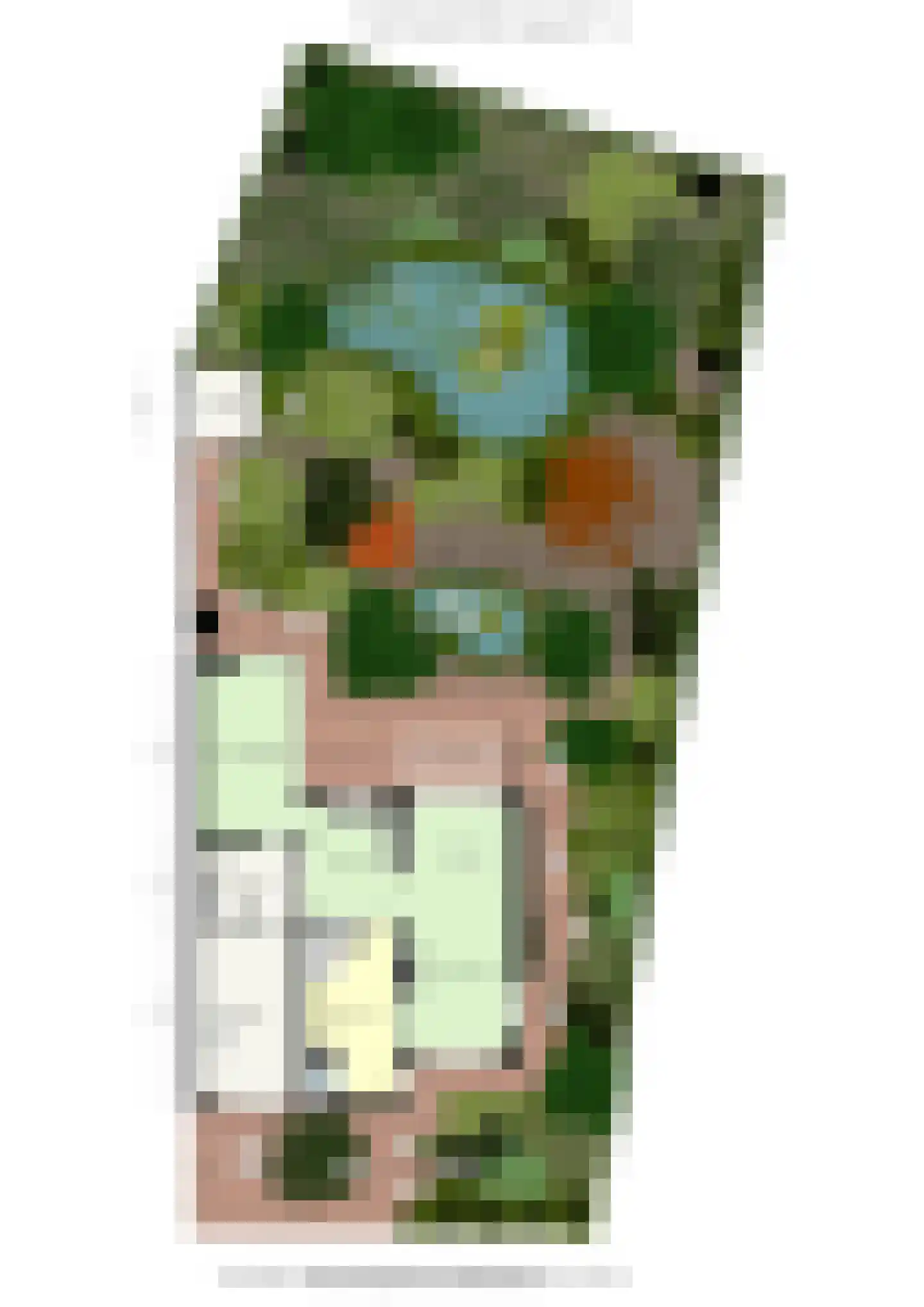 Meerser Koestraat 20 Stein thumbnail 64