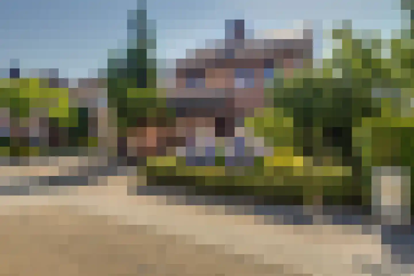 Meerser Koestraat 20 Stein thumbnail 8