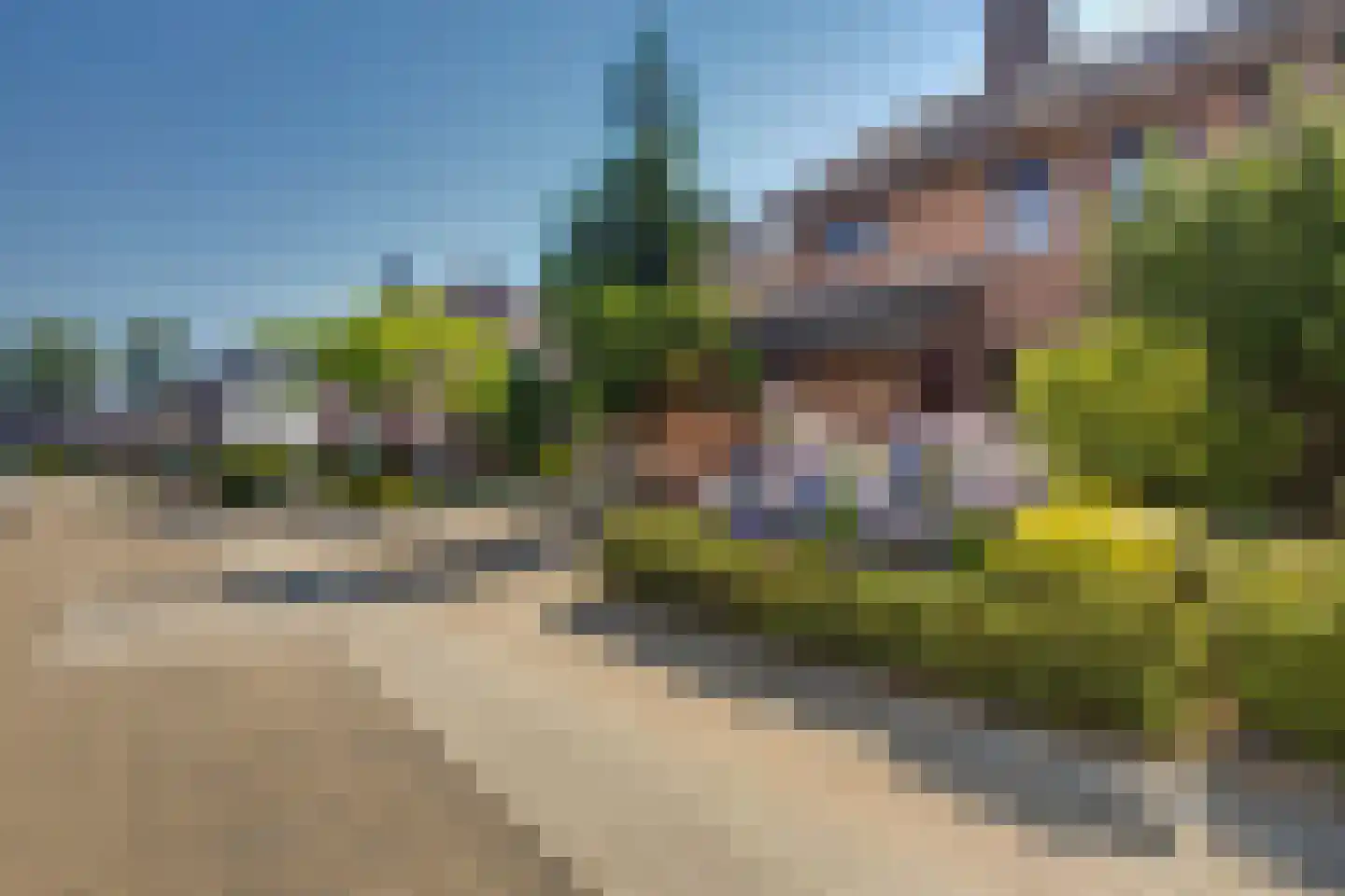 Meerser Koestraat 20 Stein thumbnail 9