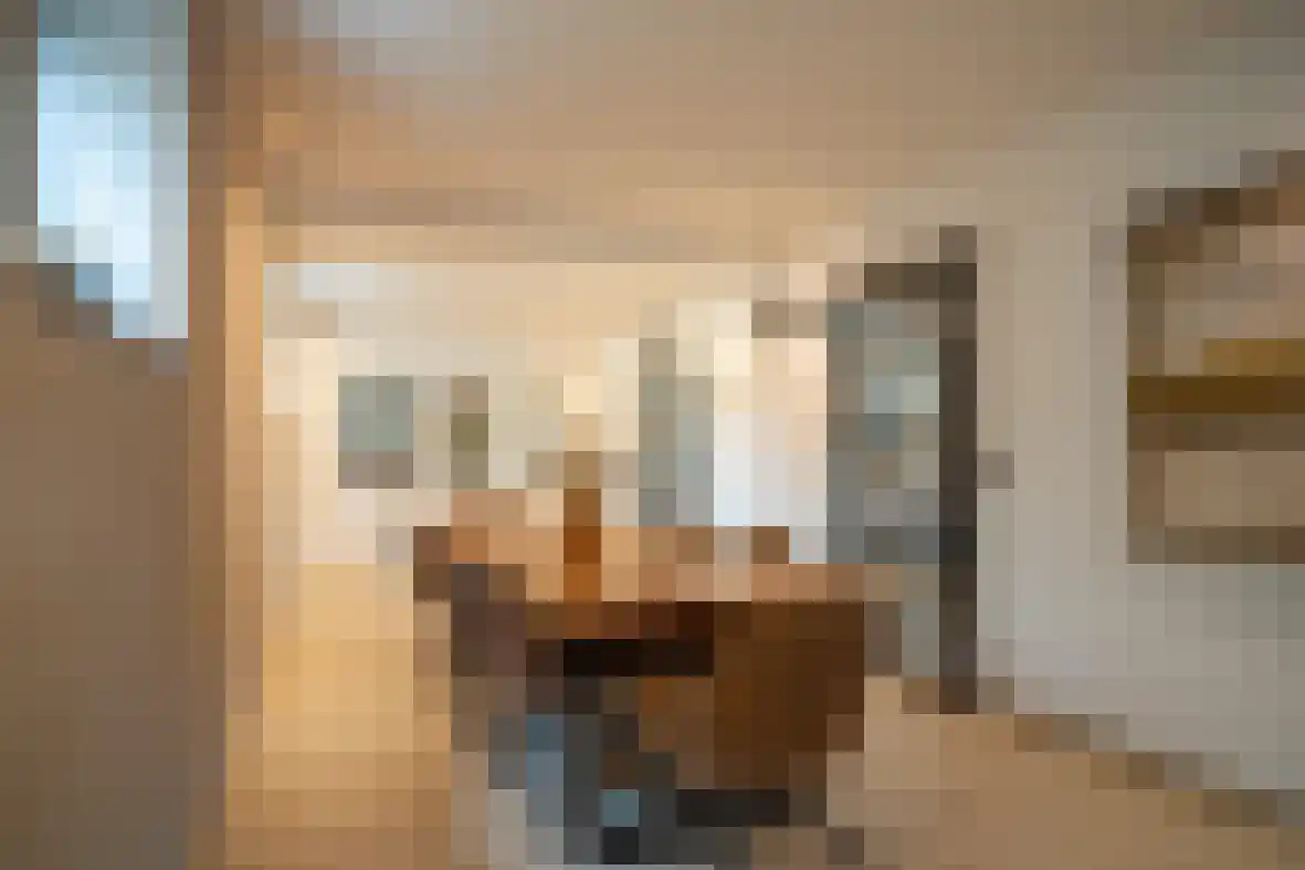 Meerser Koestraat 21 Stein thumbnail 10