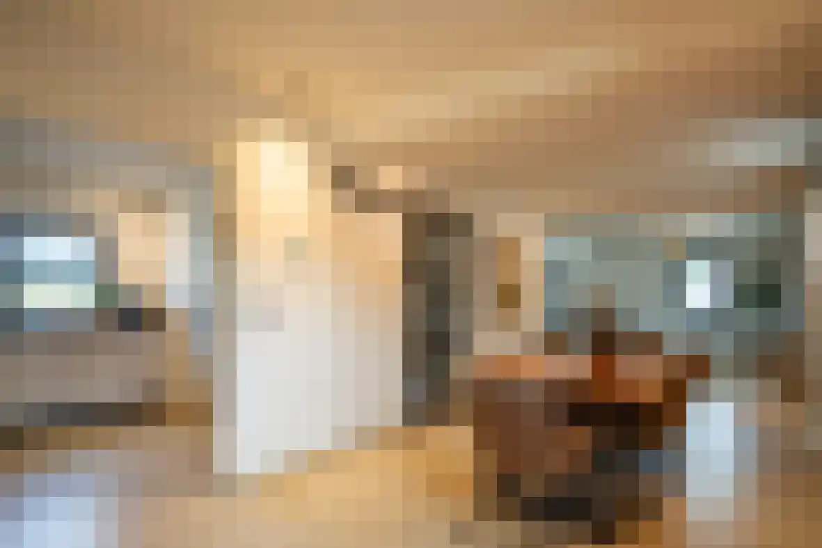 Meerser Koestraat 21 Stein thumbnail 11