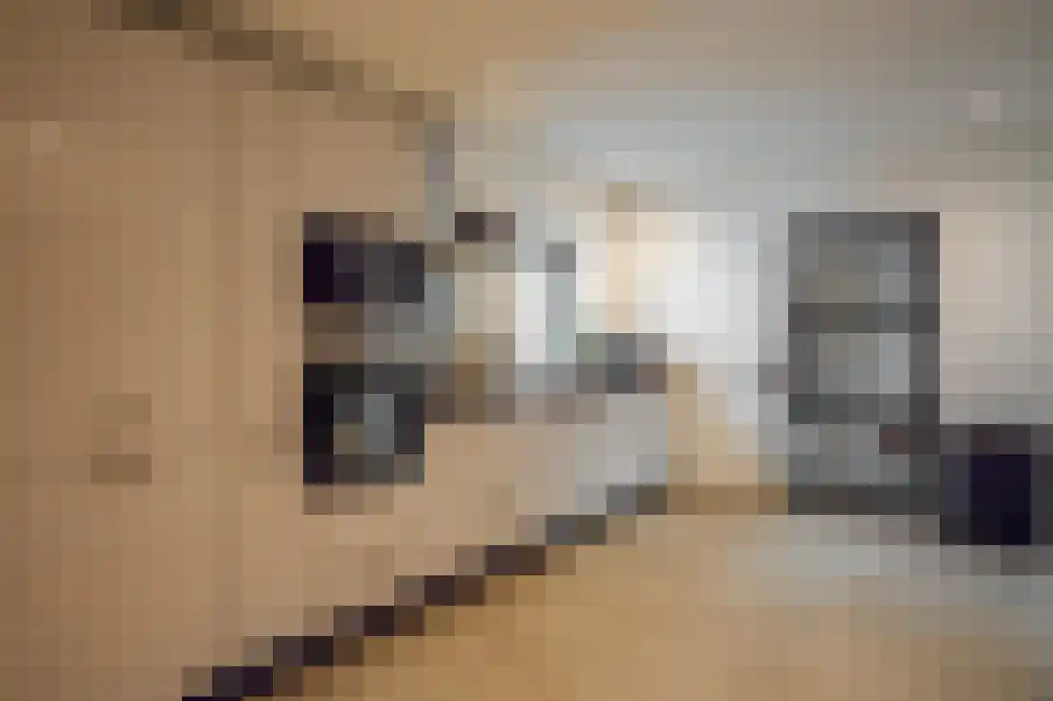 Meerser Koestraat 21 Stein thumbnail 12