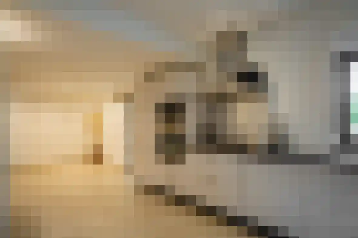 Meerser Koestraat 21 Stein thumbnail 13