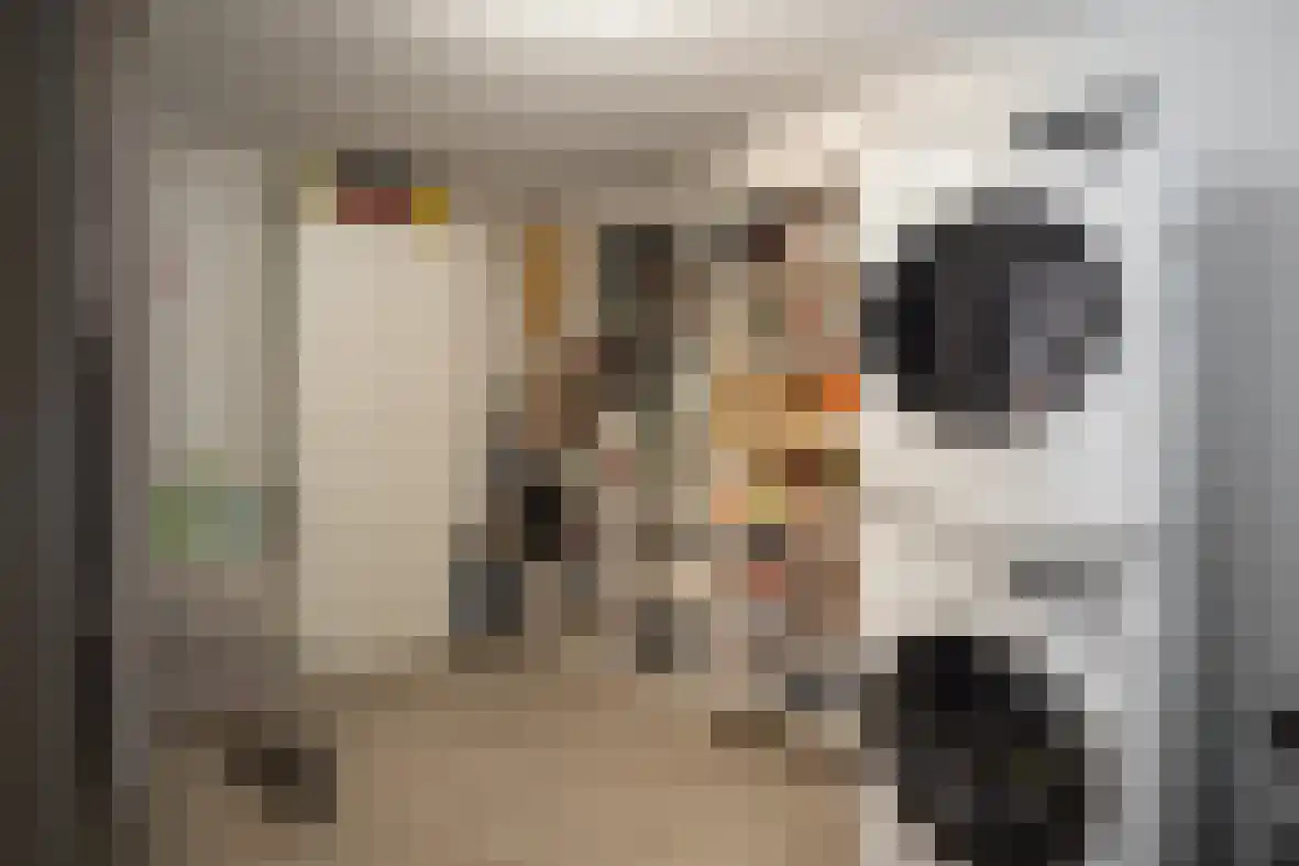 Meerser Koestraat 21 Stein thumbnail 15