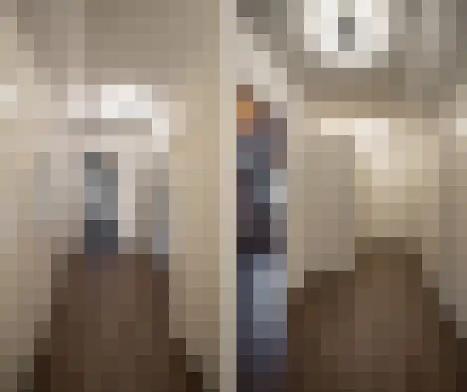 Meerser Koestraat 21 Stein thumbnail 19