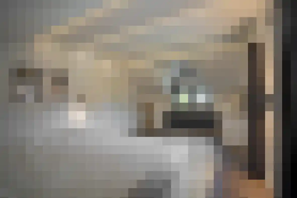 Meerser Koestraat 21 Stein thumbnail 22
