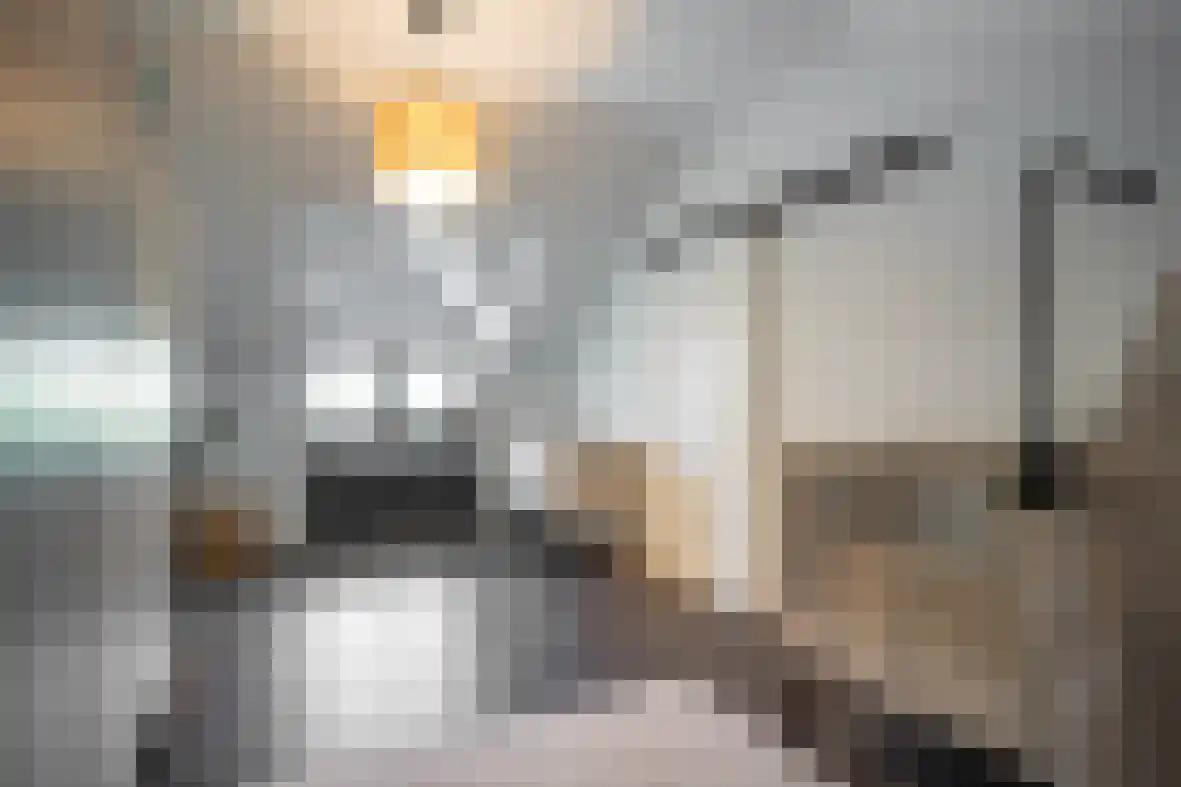 Meerser Koestraat 21 Stein thumbnail 24