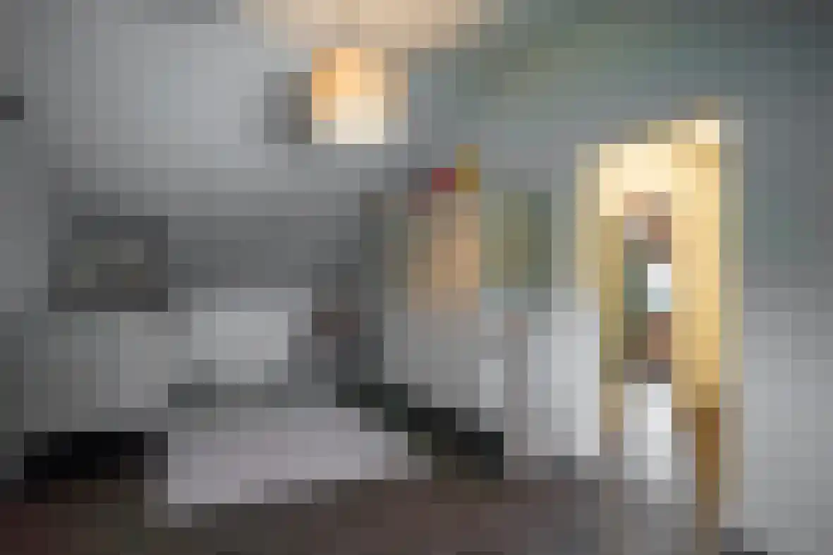 Meerser Koestraat 21 Stein thumbnail 25