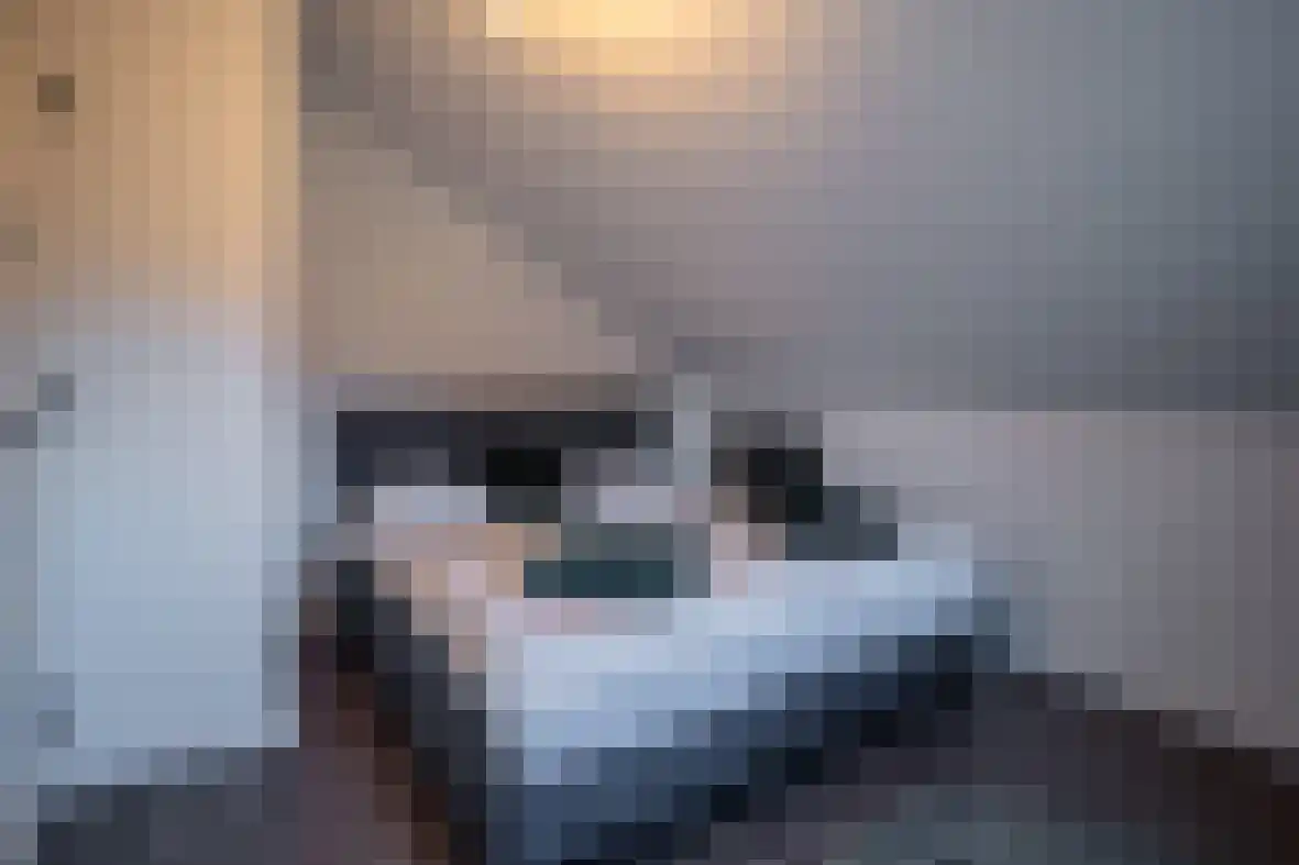 Meerser Koestraat 21 Stein thumbnail 26