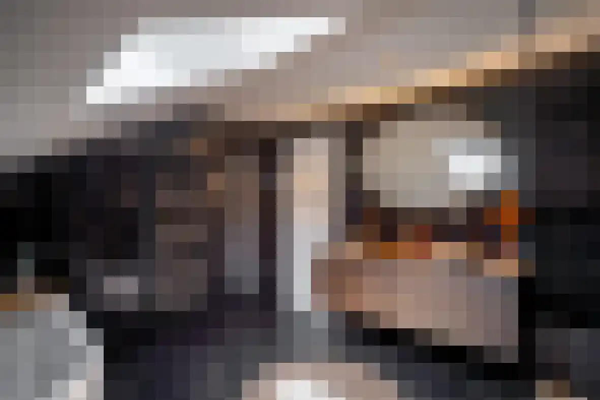 Meerser Koestraat 21 Stein thumbnail 28