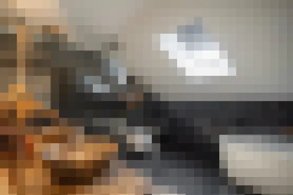 Meerser Koestraat 21 Stein thumbnail 29