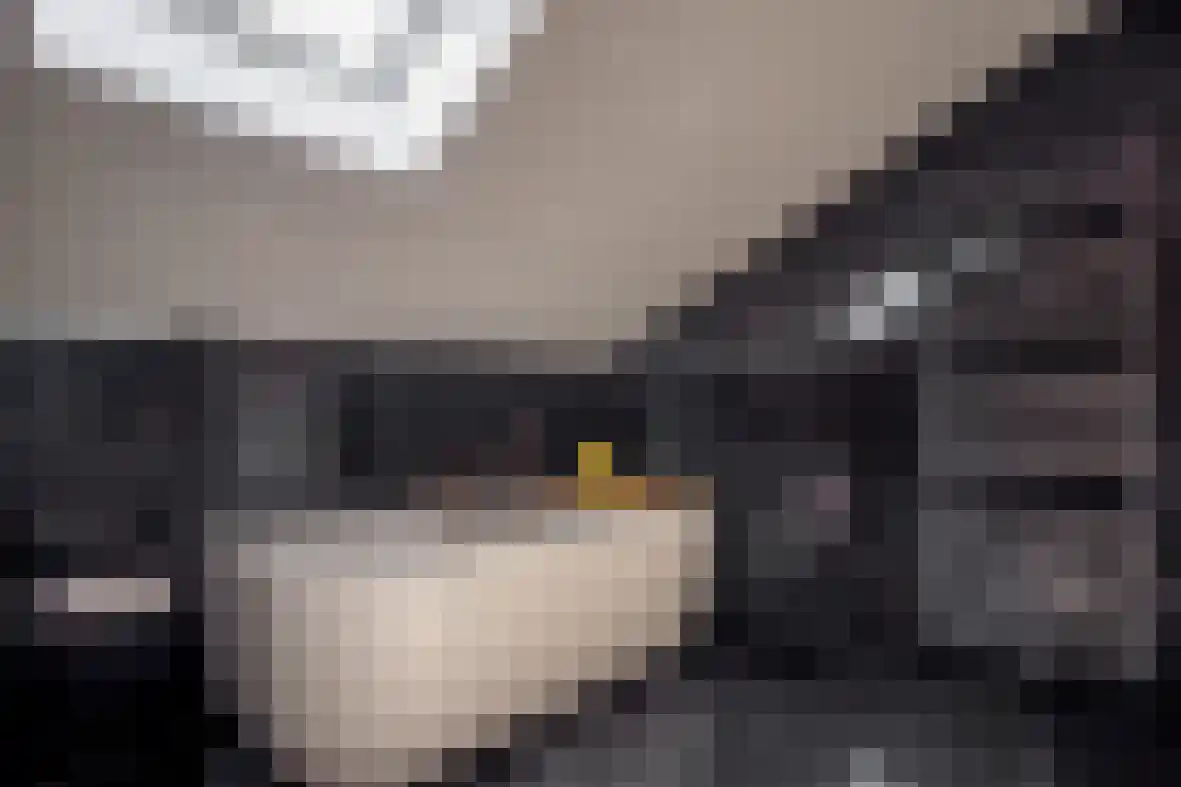 Meerser Koestraat 21 Stein thumbnail 30