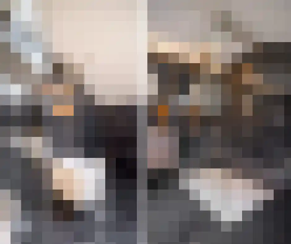 Meerser Koestraat 21 Stein thumbnail 31