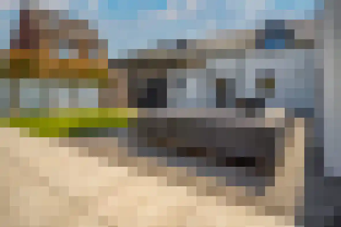Meerser Koestraat 21 Stein thumbnail 35