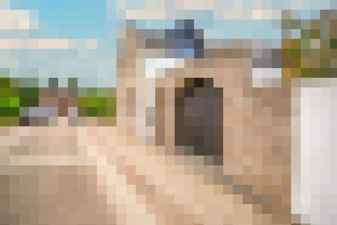 Meerser Koestraat 21 Stein thumbnail 43