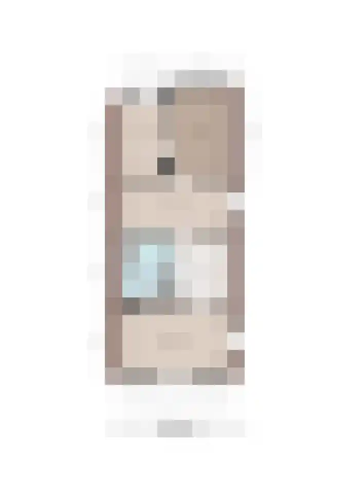 Meerser Koestraat 21 Stein thumbnail 46