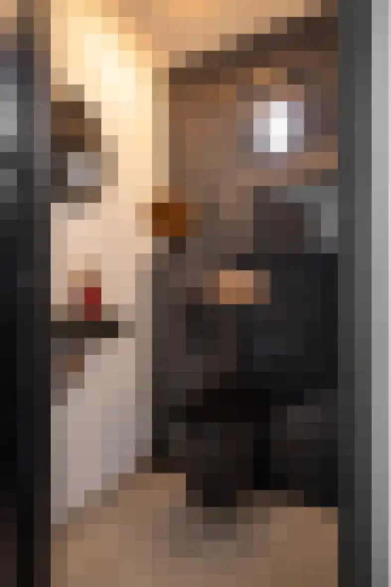 Meerser Koestraat 21 Stein thumbnail 7