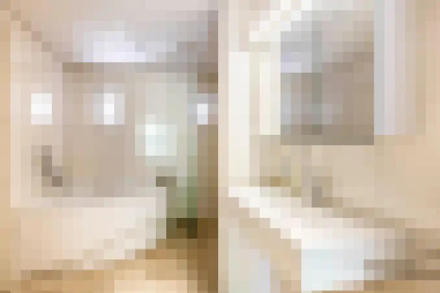 Meerseweg 4 Wellerlooi thumbnail 14