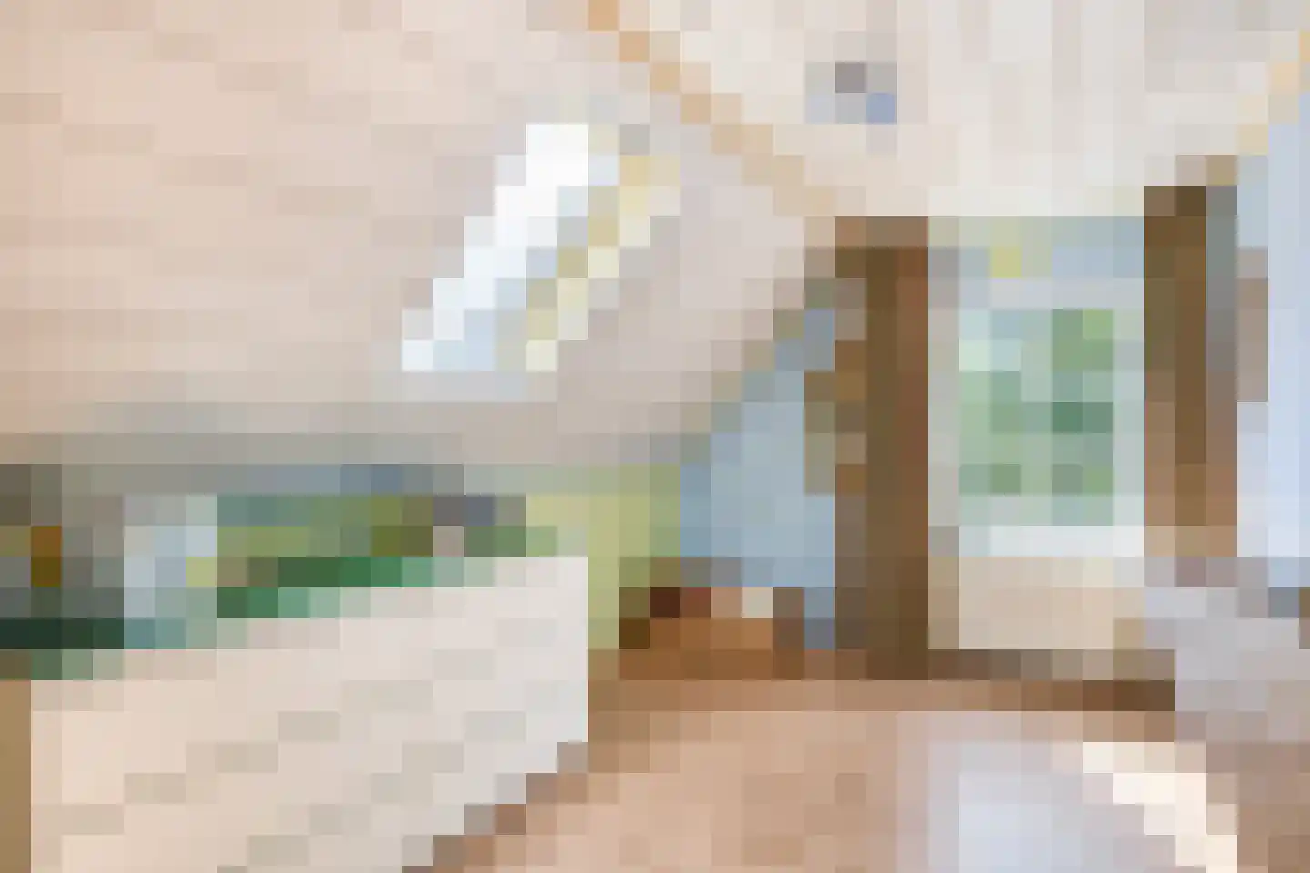 Meerseweg 4 Wellerlooi thumbnail 19