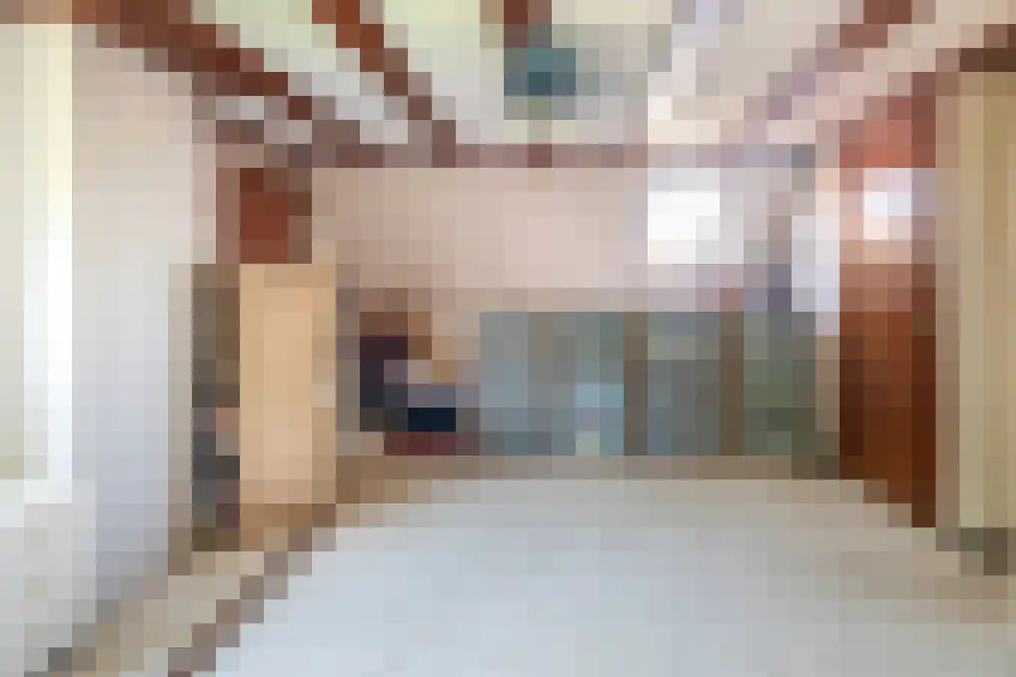 Meerseweg 4 Wellerlooi thumbnail 20
