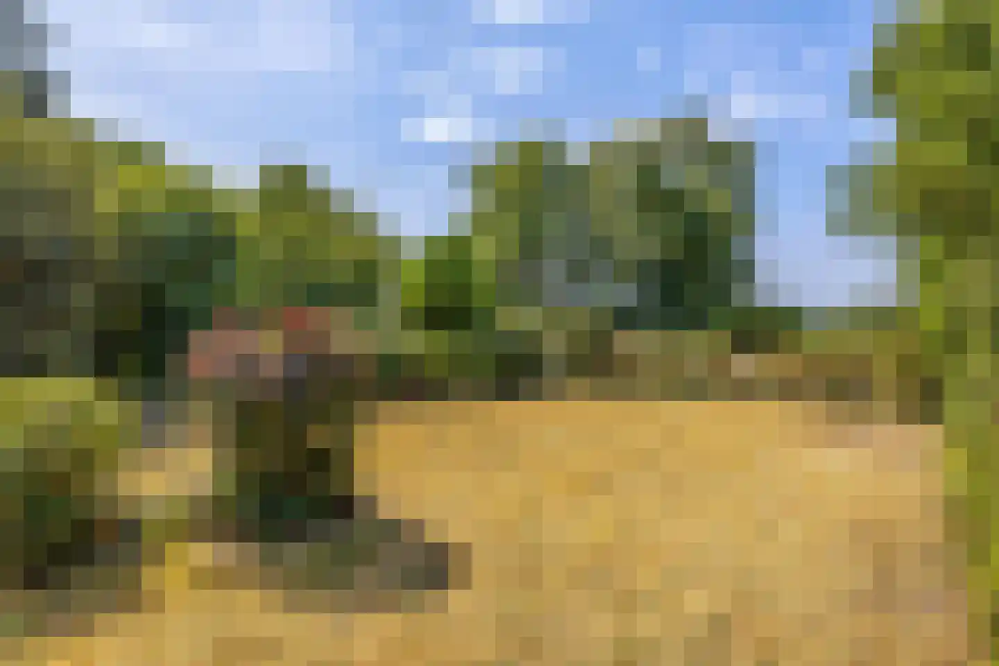 Meerseweg 4 Wellerlooi thumbnail 22