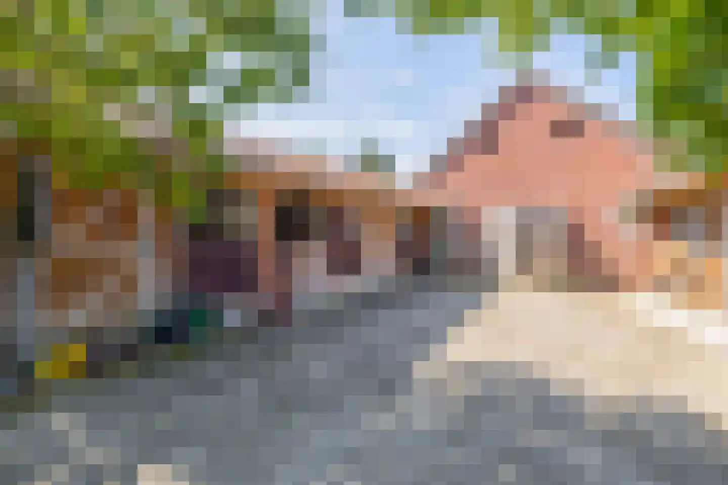 Meerseweg 4 Wellerlooi thumbnail 27