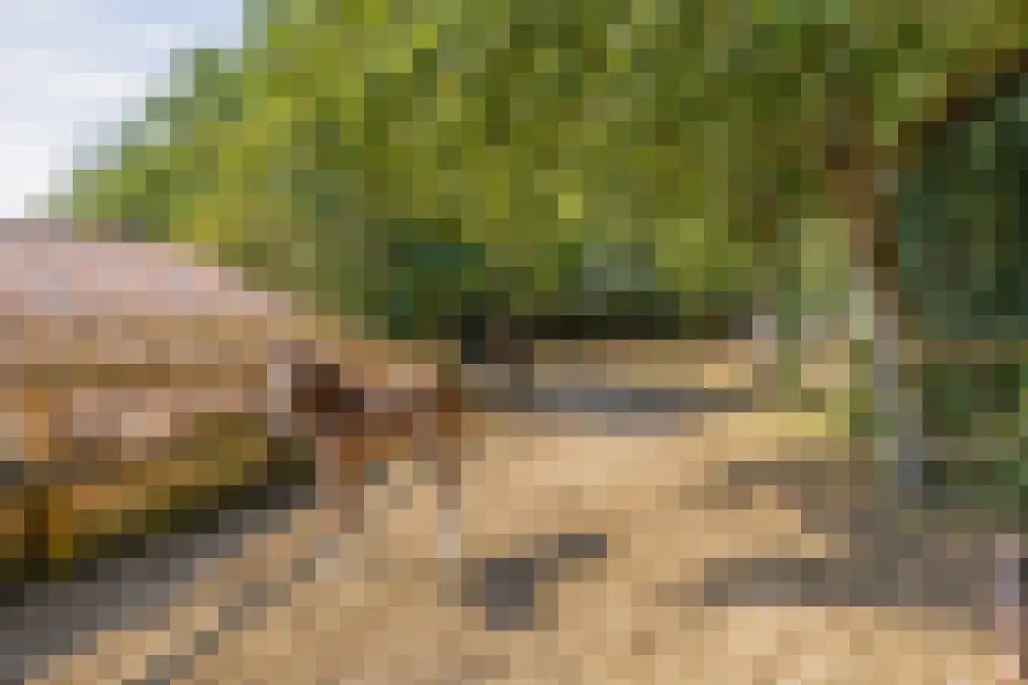 Meerseweg 4 Wellerlooi thumbnail 32