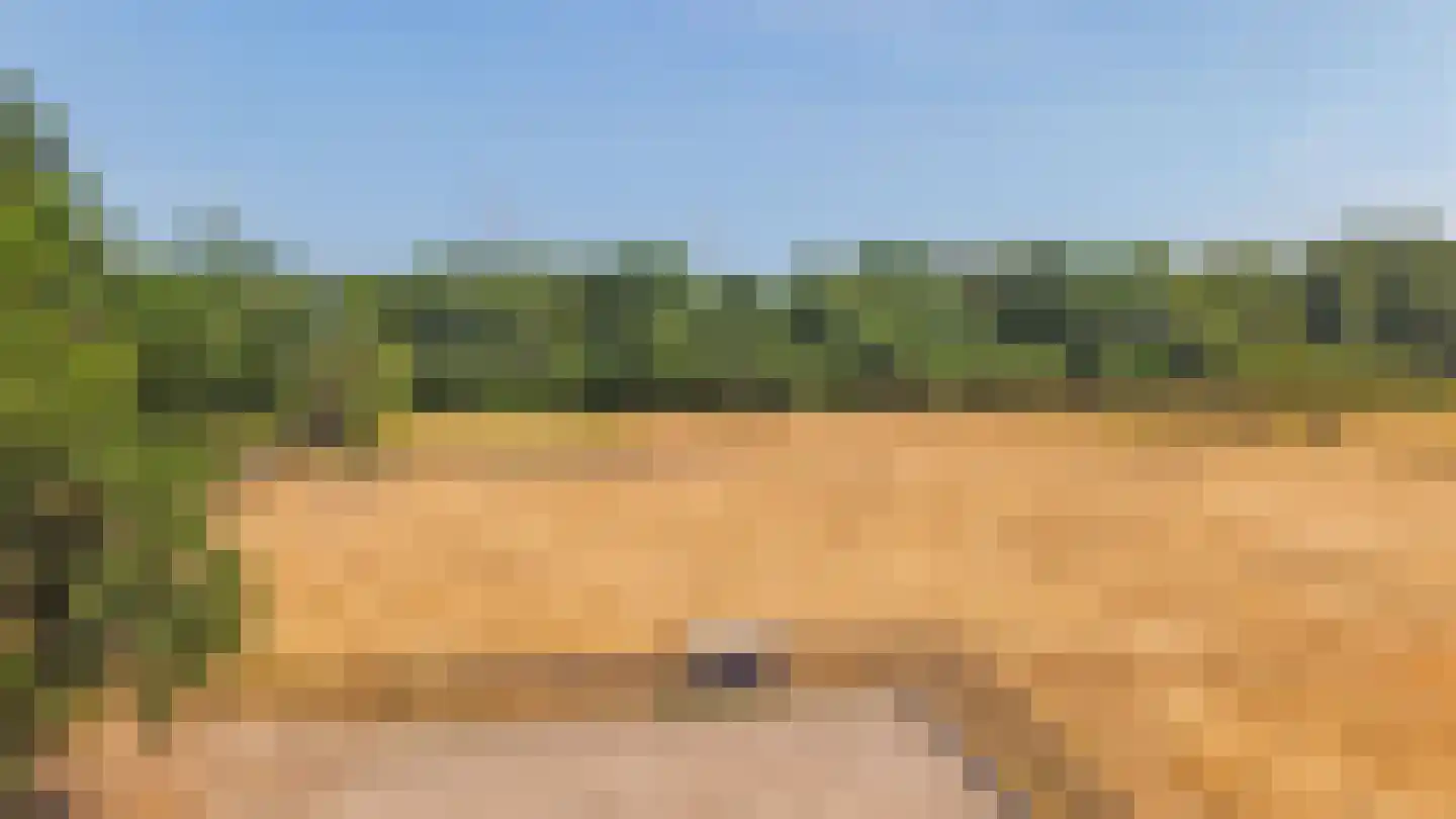 Meerseweg 4 Wellerlooi thumbnail 33