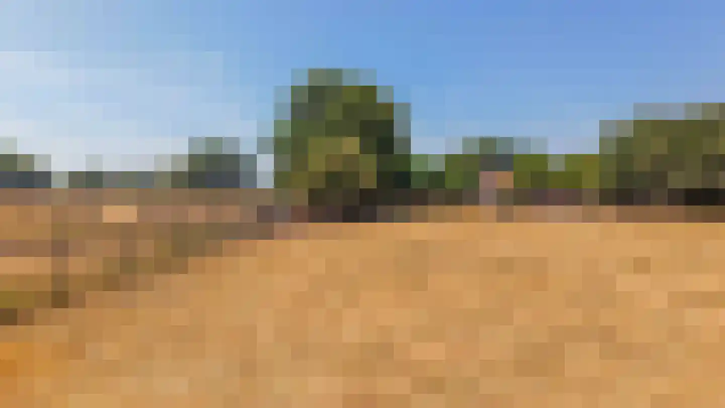 Meerseweg 4 Wellerlooi thumbnail 35