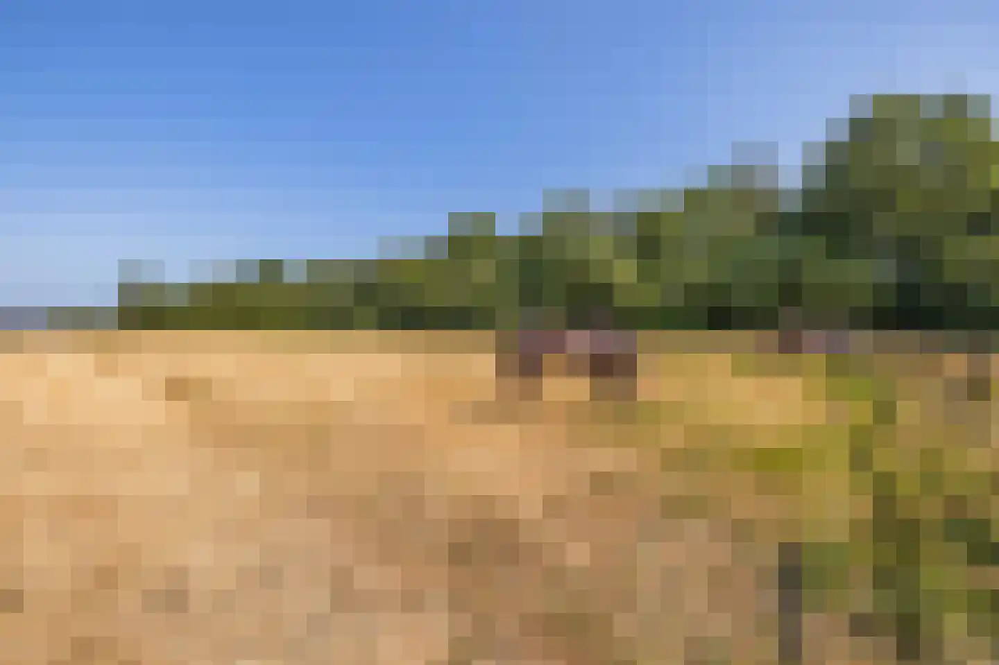 Meerseweg 4 Wellerlooi thumbnail 4