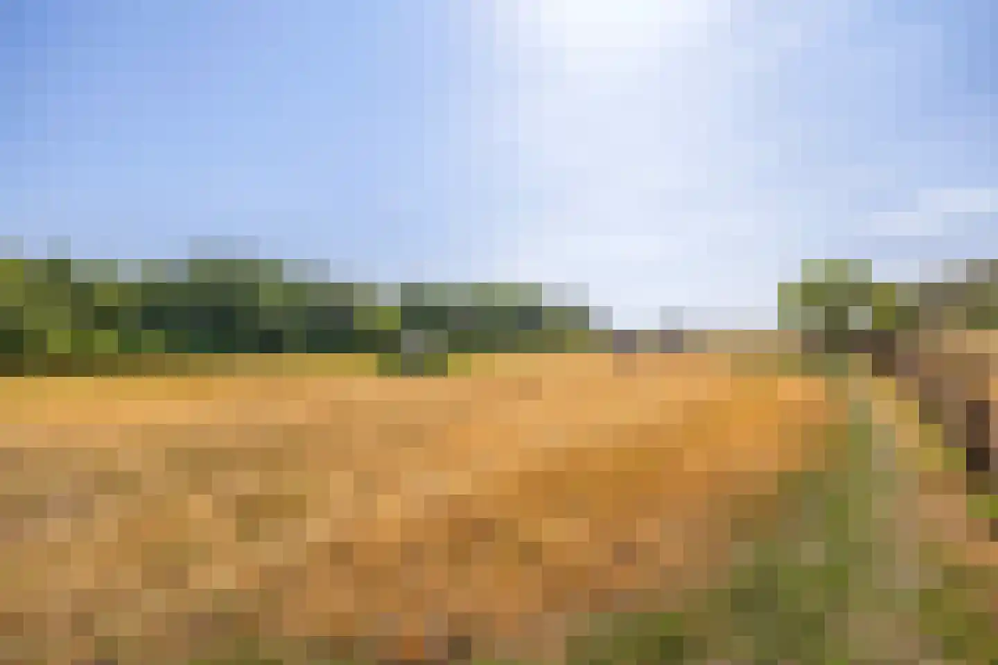 Meerseweg 4 Wellerlooi thumbnail 6