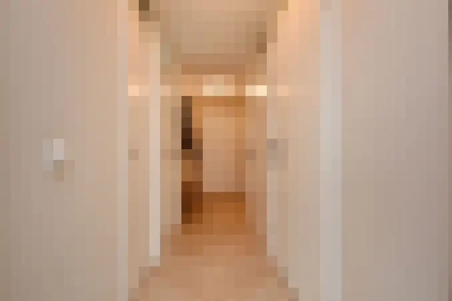 Meersingel 12 Pijnacker thumbnail 17