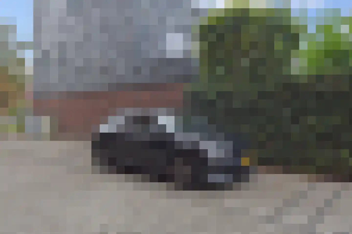 Meersingel 12 Pijnacker thumbnail 31