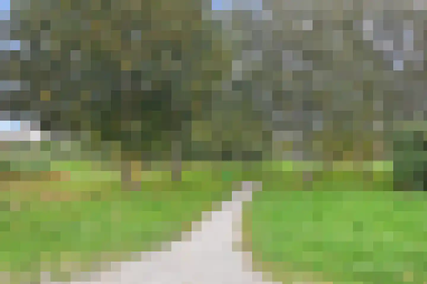 Meersingel 12 Pijnacker thumbnail 35