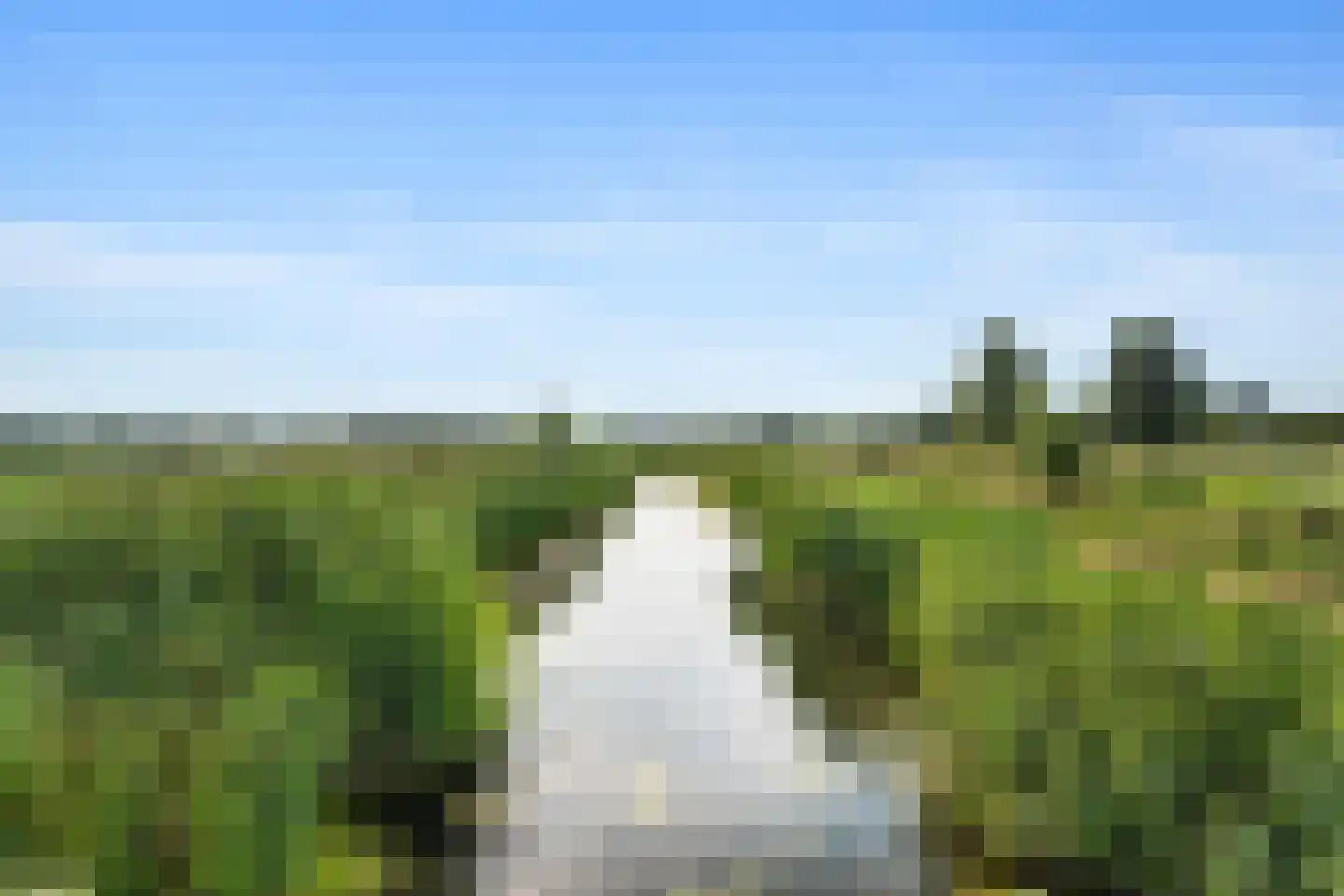 Meersingel 18 Pijnacker thumbnail 26