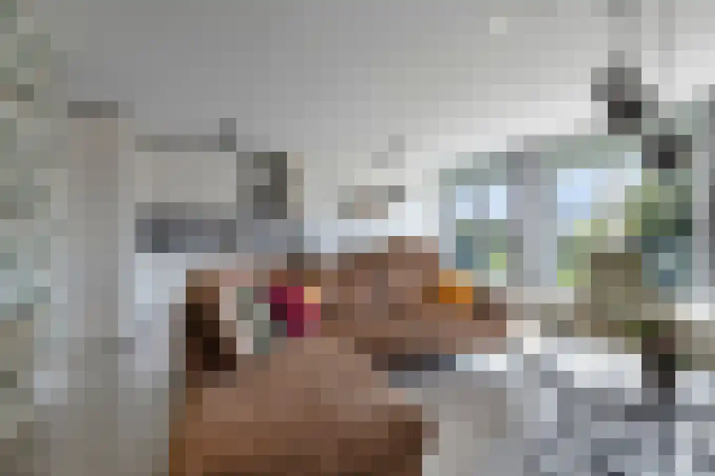 Meersingel 18 Pijnacker thumbnail 8