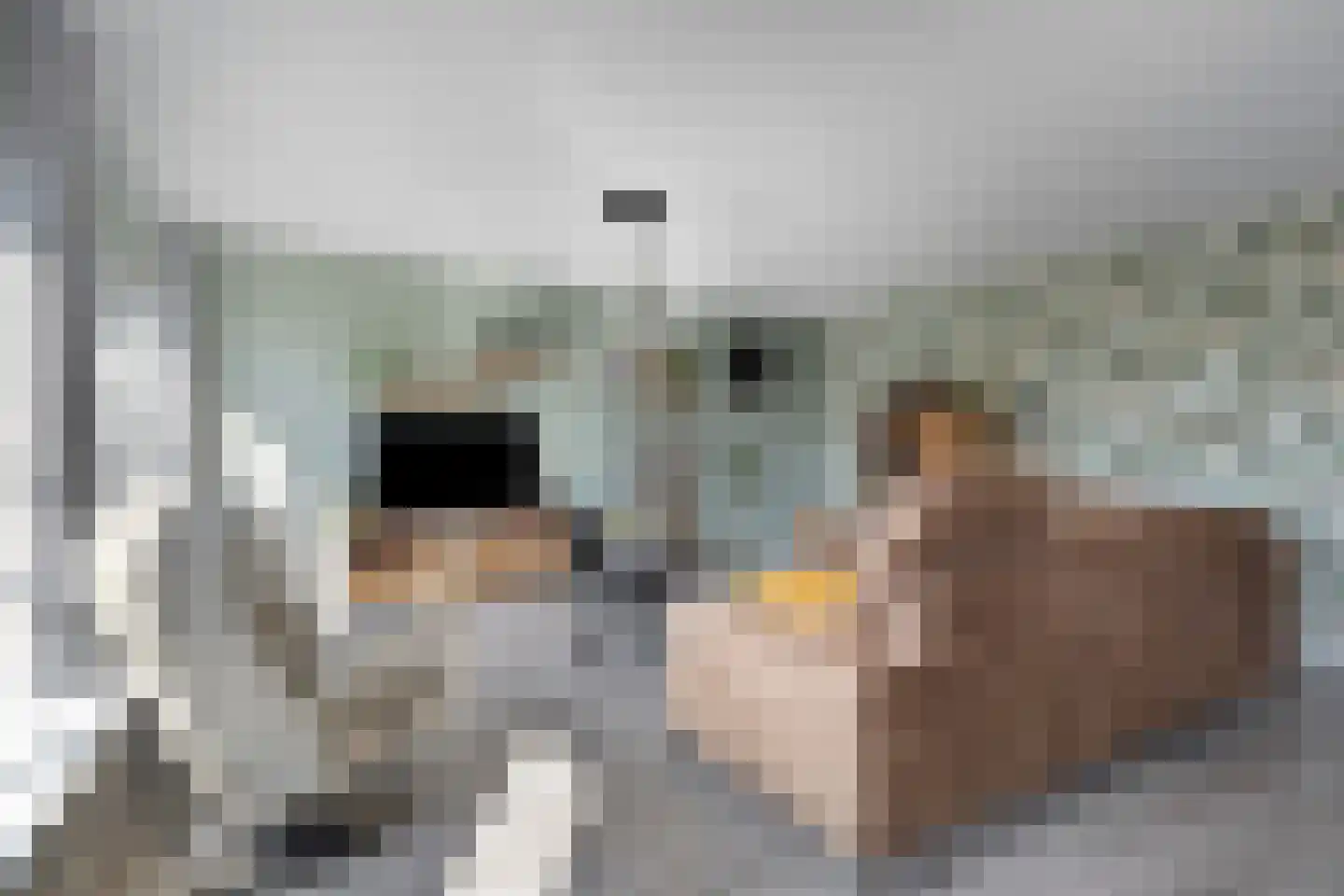 Meersingel 18 Pijnacker thumbnail 9