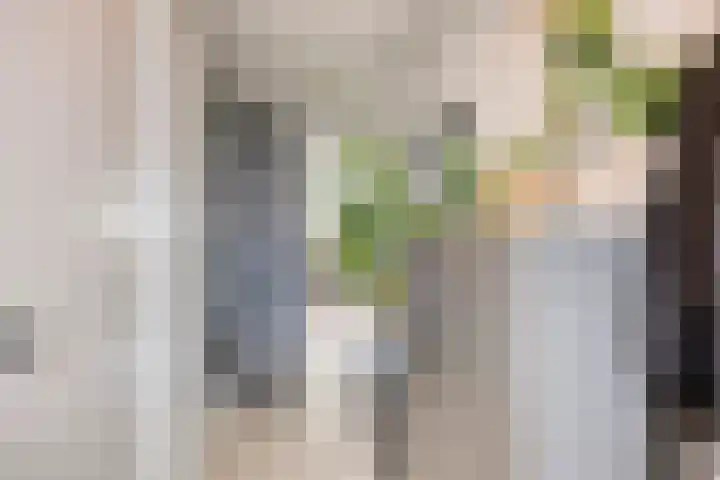 Meersingel 31 Pijnacker thumbnail 11