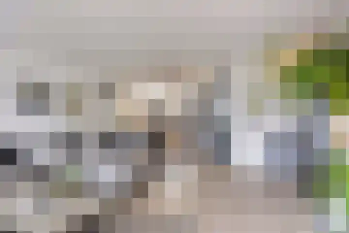 Meersingel 31 Pijnacker thumbnail 12