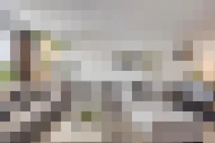 Meersingel 31 Pijnacker thumbnail 14