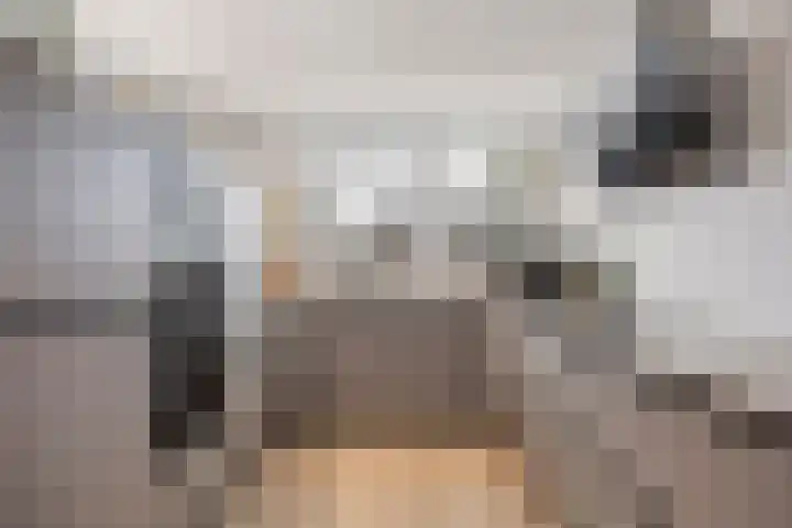 Meersingel 31 Pijnacker thumbnail 15