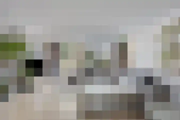 Meersingel 31 Pijnacker thumbnail 16