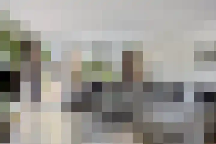 Meersingel 31 Pijnacker thumbnail 17