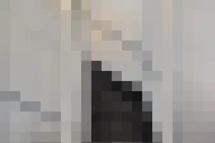 Meersingel 31 Pijnacker thumbnail 24